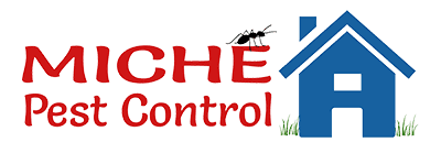 Pest Control Essex: Your Solution to a Pest-Free Home