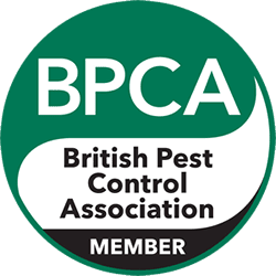 The Ultimate Guide to Effective Pest Control in Essex